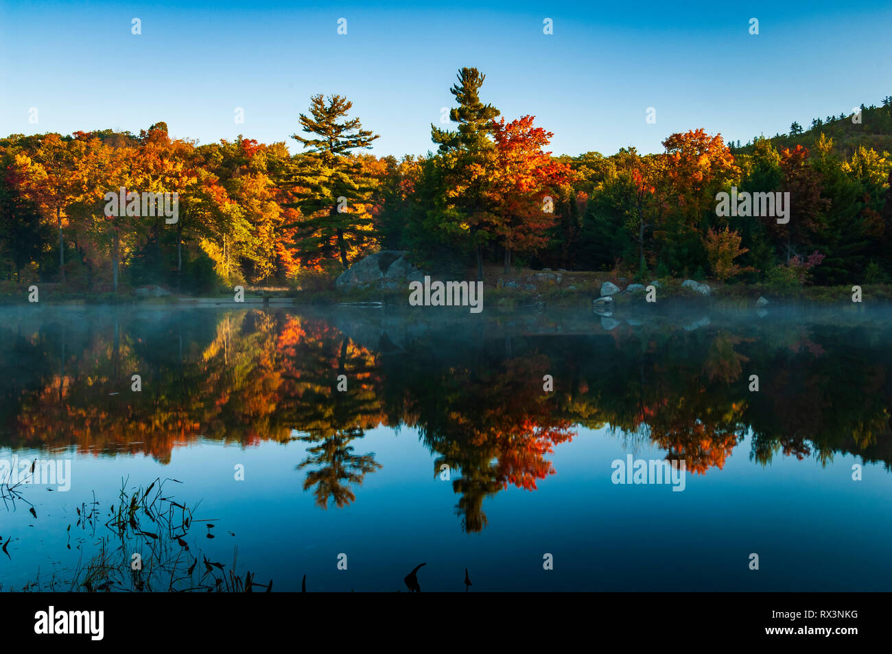 Colori brillanti di una mattina autunnale si riflettono in una Lac vetroso Taylor, Gatineau Parco Nazionale, Quebec, Canada Foto Stock