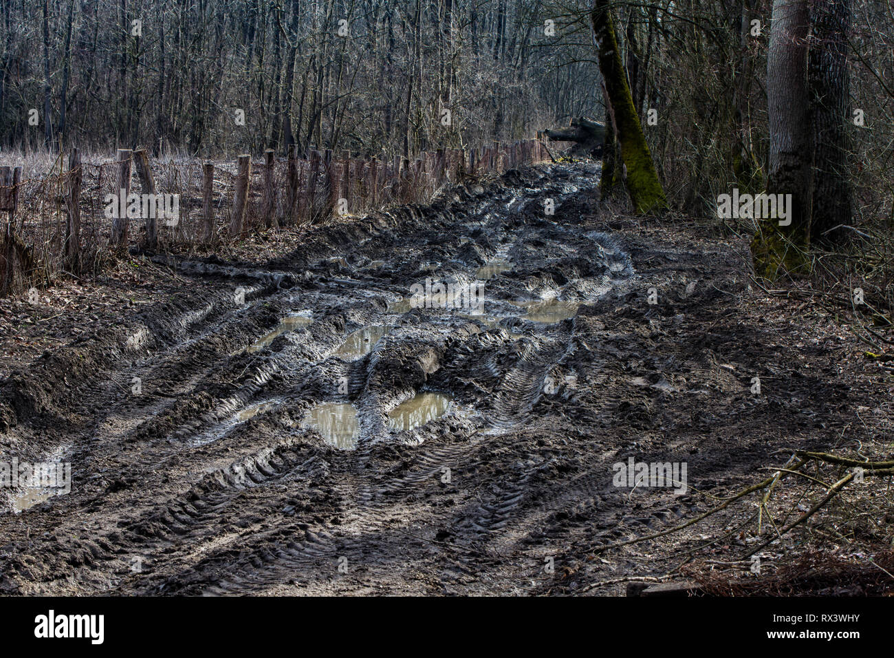 Fango scivoloso super vie di pneumatici su argilla off-road nel villaggio provinciale soleggiata giornata di primavera dopo la pioggia. Obedska Bara Serbia Foto Stock