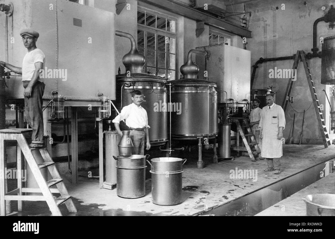 Industria di Vallecrosia, industria di profumi, 1910-1920 Foto Stock