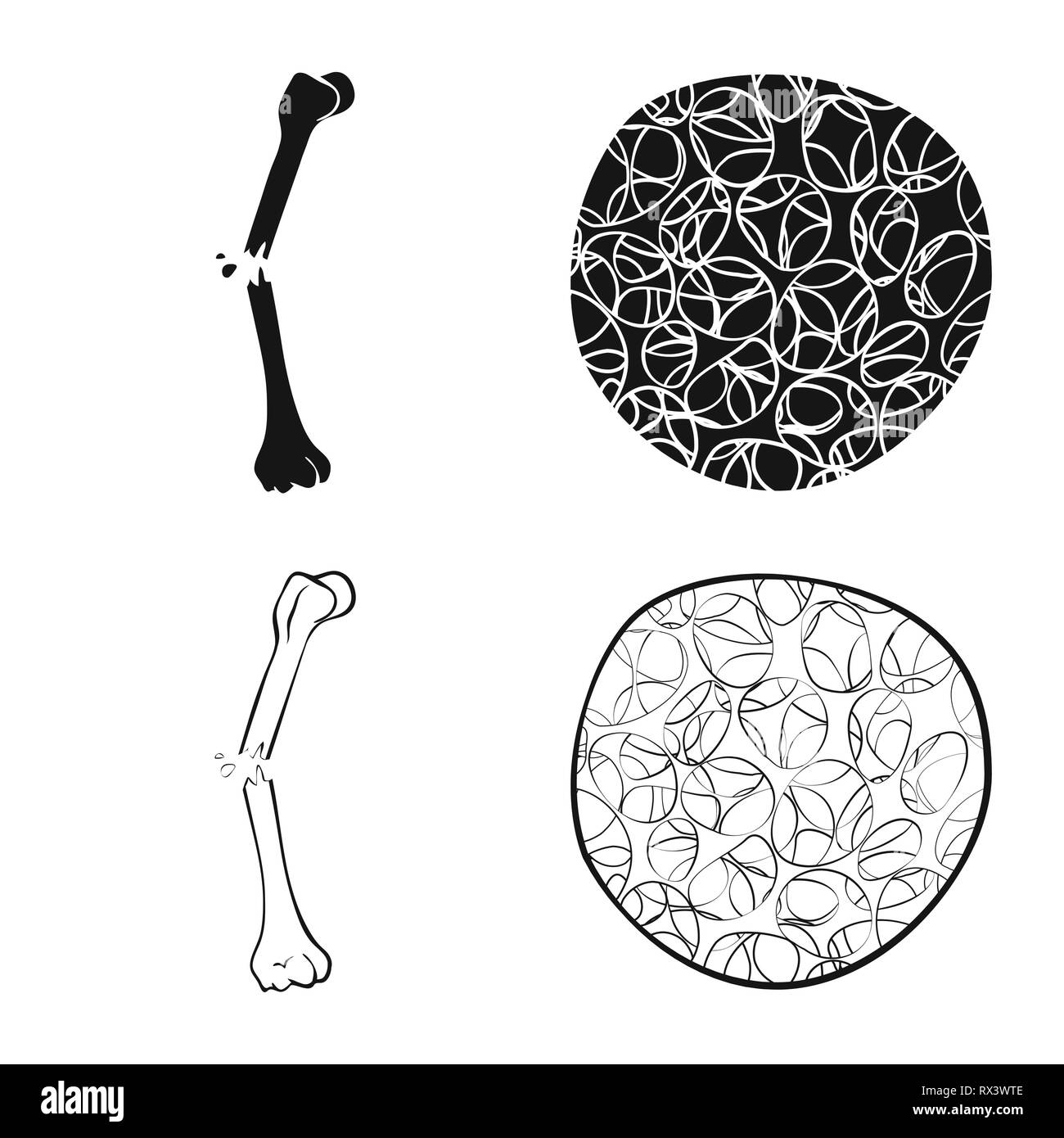 Frattura,l'osteoporosi,dolore,cell,bias,tessuto,pregiudizio,tessuto connettivo,la cartilagine,apparato muscoloscheletrico,struttura,fibre,scientific,sistema,muscolo,TENDINE,gamba,medicina clinica,,biology,medical,osso,skeleton,anatomia umana,,organi,impostare,vettore,icona,immagine,isolato,raccolta,design,l'elemento,graphic,segno, Vettori vettore , Illustrazione Vettoriale