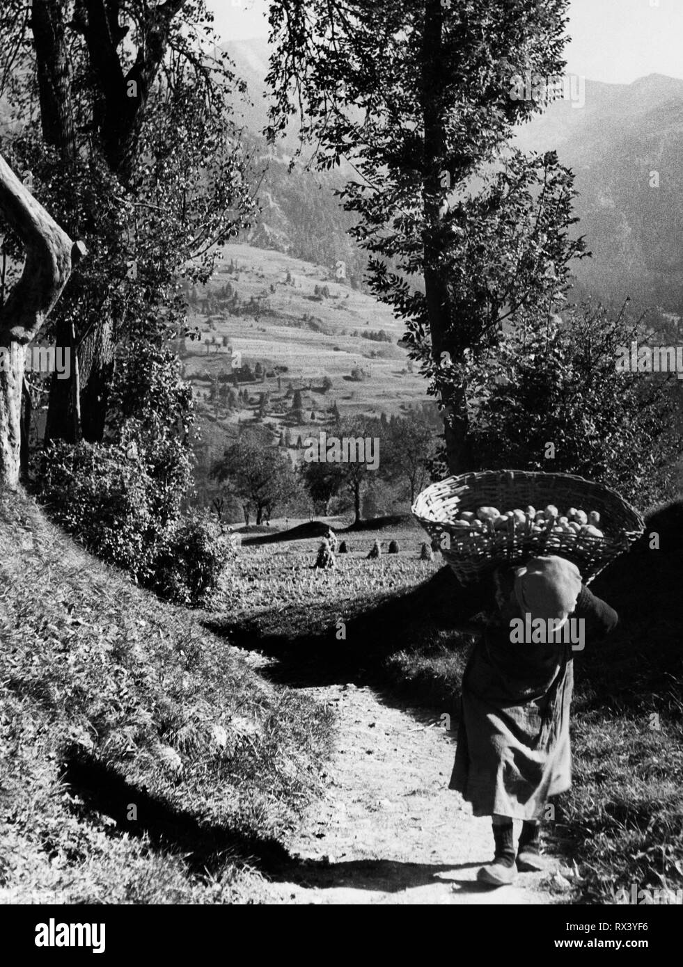 Montagne, Carnia, friuli, Italia 1956 Foto Stock