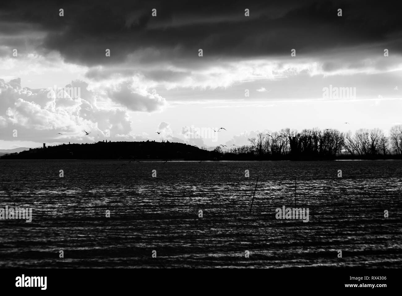 Uccelli in volo sul lago Trasimeno Foto Stock