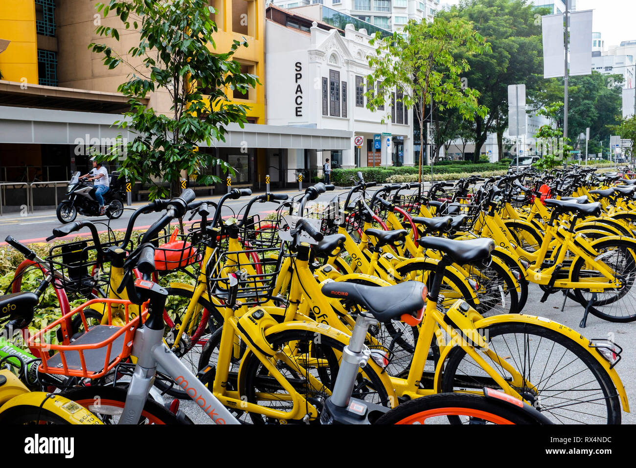 Giallo Ofo biciclette a noleggio parte di Singapore è soccombente bike programma condividi parcheggiato in Bencoolen St Singapore con la persona che guida motociclo in background Foto Stock