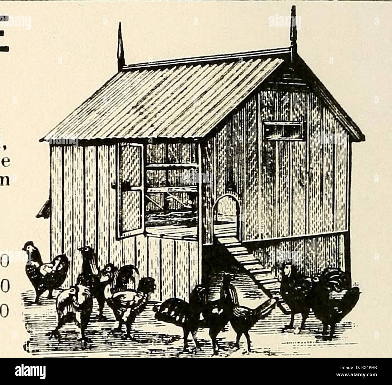 Uova e pollame elevare a uova e pollame elevare a casa eggpoultryraisin00elki Anno: 1902 Dimensioni :16ft. lungo, 18ft. ampia, 6ft. alta a rave, 7ft. sul retro. Ogni casa è 4ft.da 6ft., e ha una corsa 12ft. da 6ft. Prezzi in contanti, trasporto pagato. Una casa e Pun, £6 OS. Diametro esterno. Due case e corre, £11 10s. Diametro esterno. Tre J louses e corre, £16 10s. Diametro esterno. Il nostro portatile originale uccelli' CASE. Queste case sono ben fatte del miglior affare rosso, i telai essendo morticed e congiunti a tenone, con tongued e {jrooveil boards, dipinte tre mani e imbiancata all'interno. In ferro zincato, tetto rivestito di feltro e legno. PRI IN CONTANTI Foto Stock