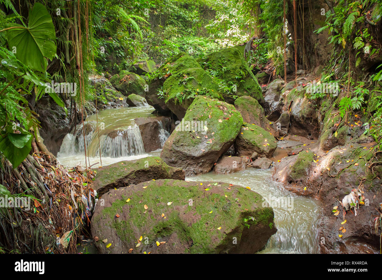Sacro Santuario della Foresta delle Scimmie di Ubud sull isola di Bali in Indonesia Foto Stock