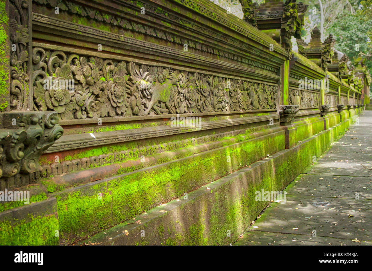 Sacro Santuario della Foresta delle Scimmie di Ubud sull isola di Bali in Indonesia Foto Stock