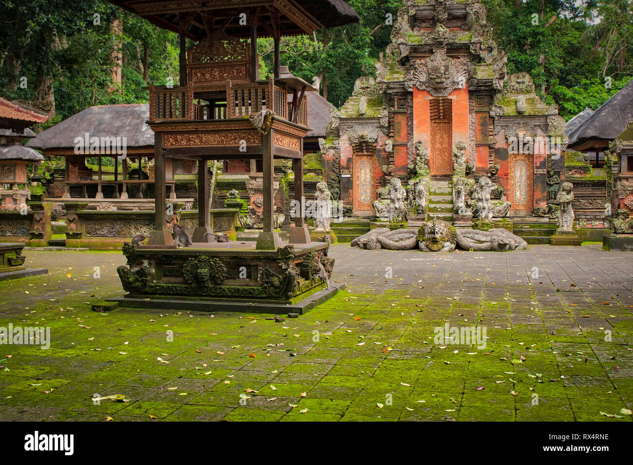 Sacro Santuario della Foresta delle Scimmie di Ubud sull isola di Bali in Indonesia Foto Stock