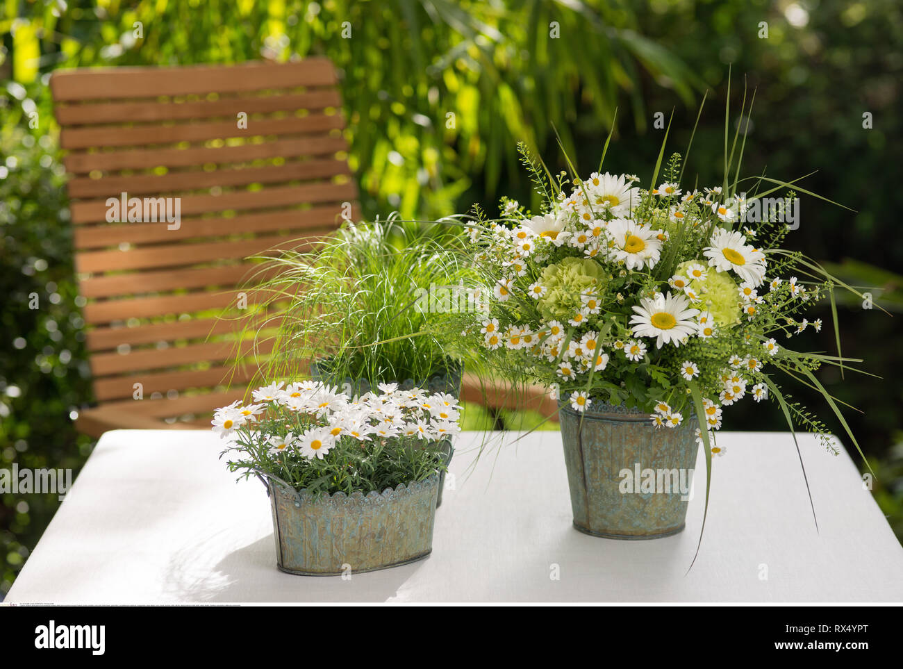 La botanica, bianco-verde estate bouquet, attenzione! Per Greetingcard-Use / Postcard-Use nei Paesi di lingua tedesca talune restrizioni possono applicare Foto Stock