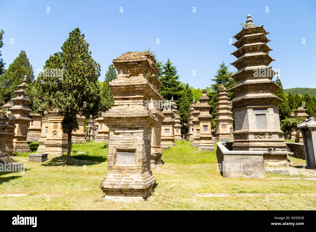 Pagoda della foresta nel tempio Shaolin, di Dengfeng, nella provincia di Henan, Cina. È il seppellimento di luoghi tra i più eminenti monaci del tempio nel corso dei secoli, Foto Stock