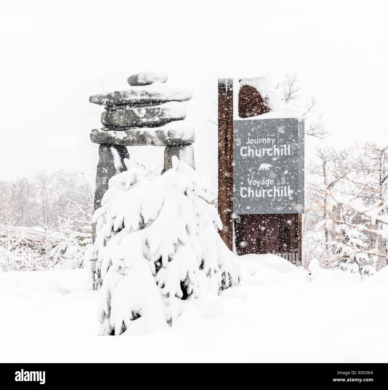 Viaggio a Churchill at Assiniboine Park Zoo, Winnipeg, Manitoba, Canada Foto Stock