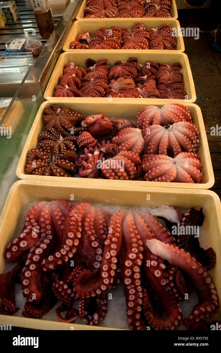 Il polpo si spegne a Tokyo il mercato del pesce di Tsukiji Foto Stock