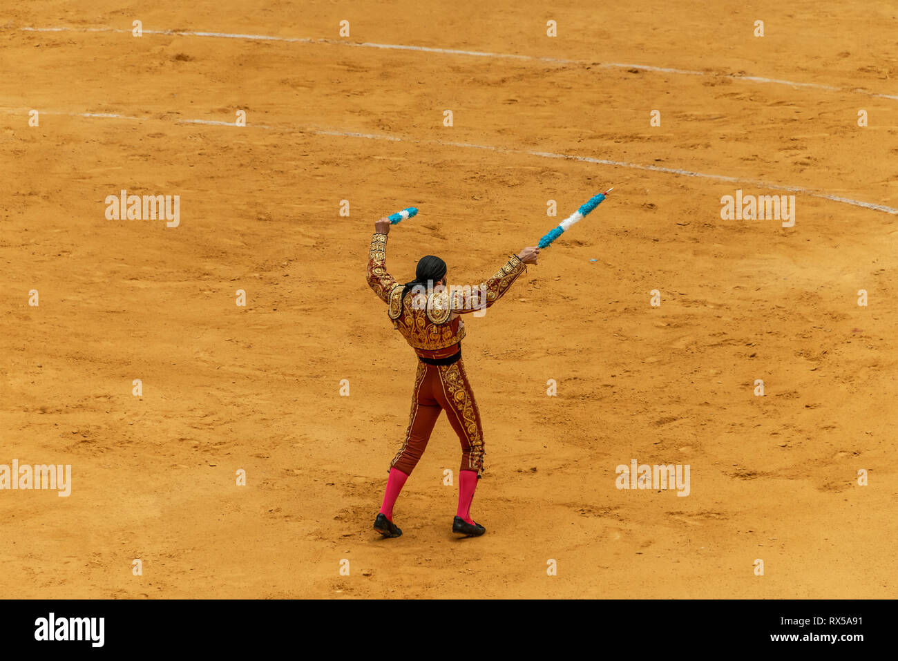 Corrida spagnola, coraggioso toro e torero Foto Stock