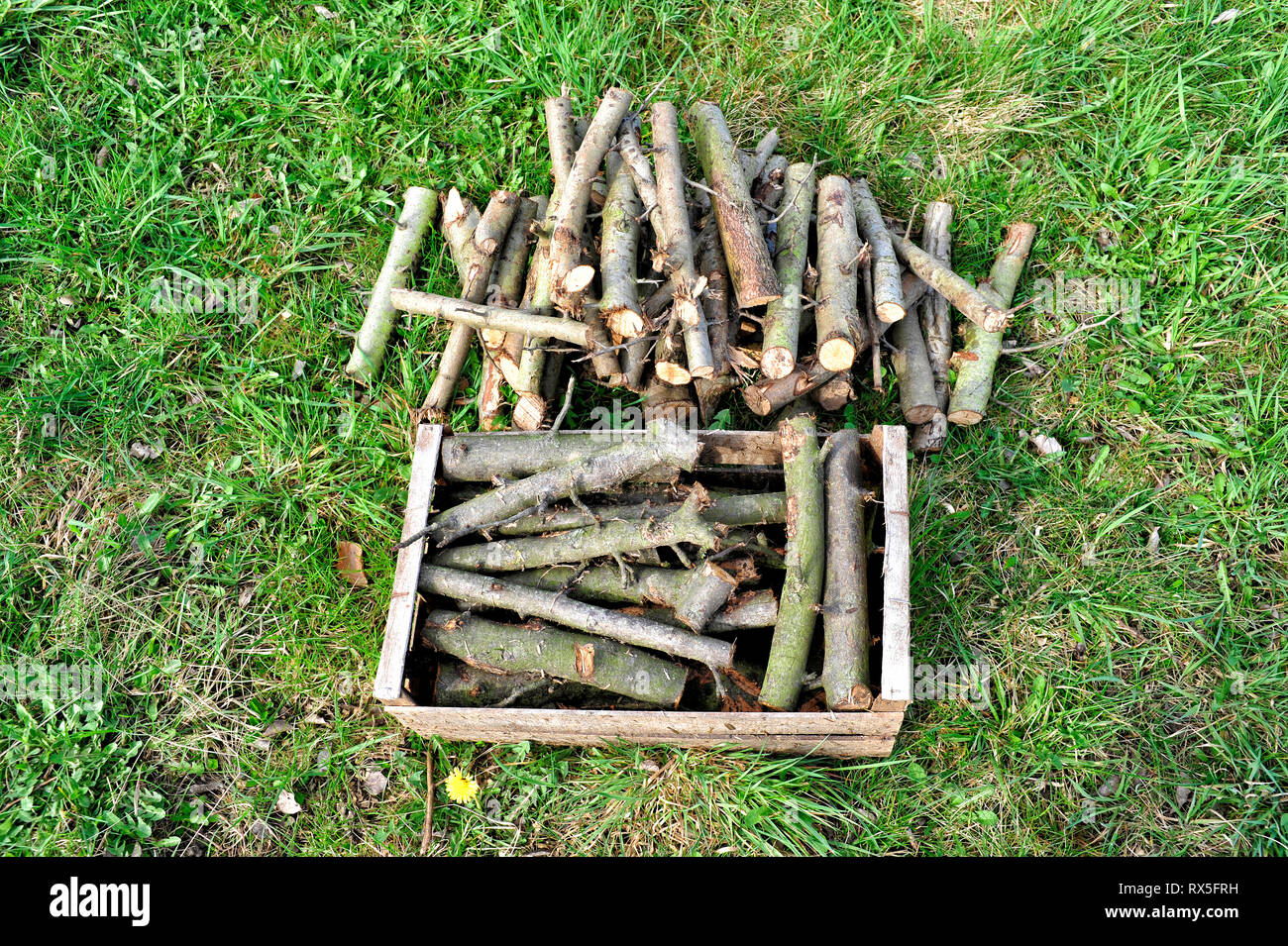 Zwei Brennholzstapel liegen auf einem gruenen Rasun. Der eine Stapel liegt in einer Holzkiste, Der andere direkt auf dem Rasen Foto Stock