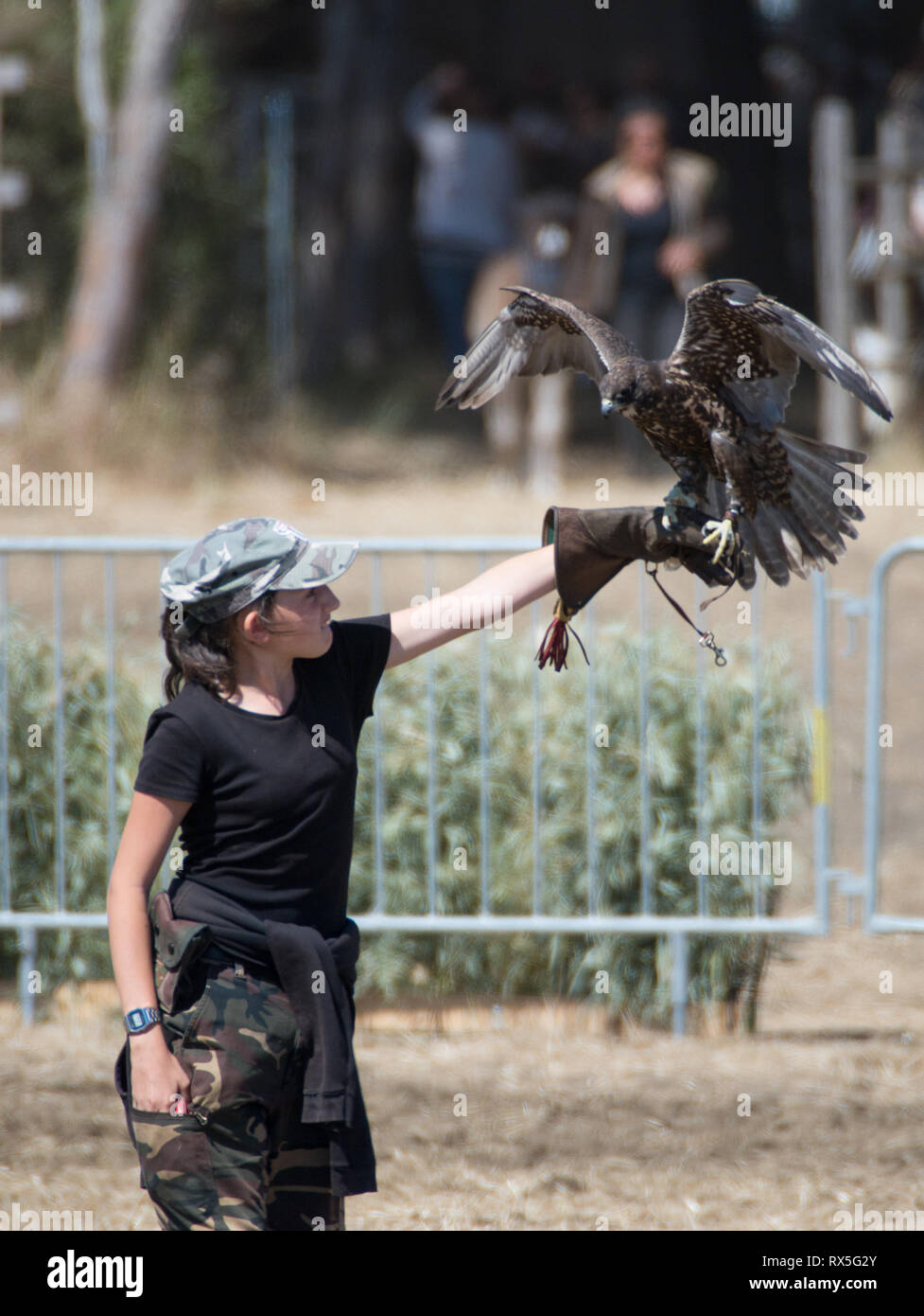 L'Europa, Italia, Lazio, Tarquinia, gioco equo, falconeria Foto Stock