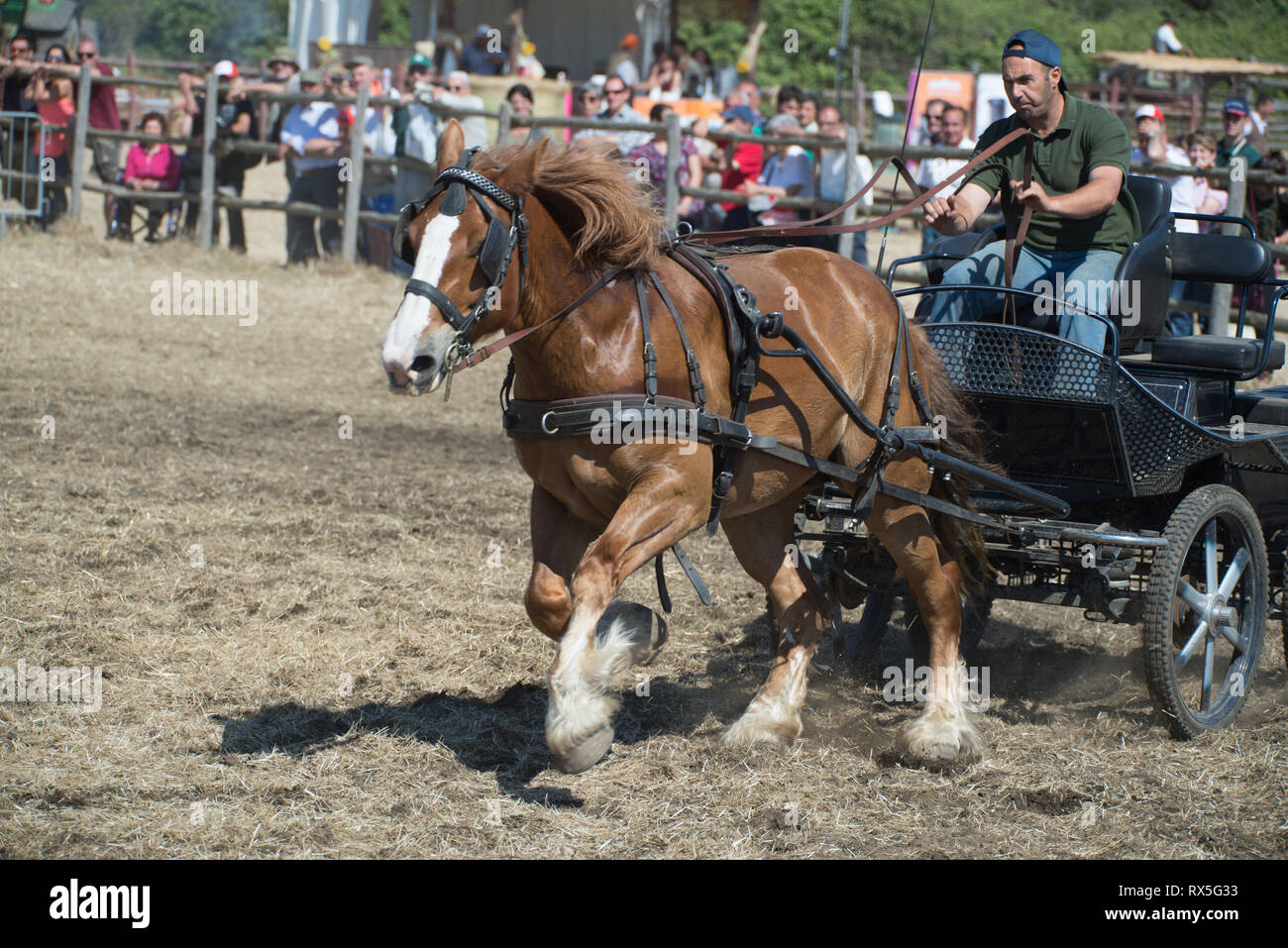 L'Europa, Italia, Lazio, Tarquinia, gioco equo, Italiana cowboy, butteri Foto Stock