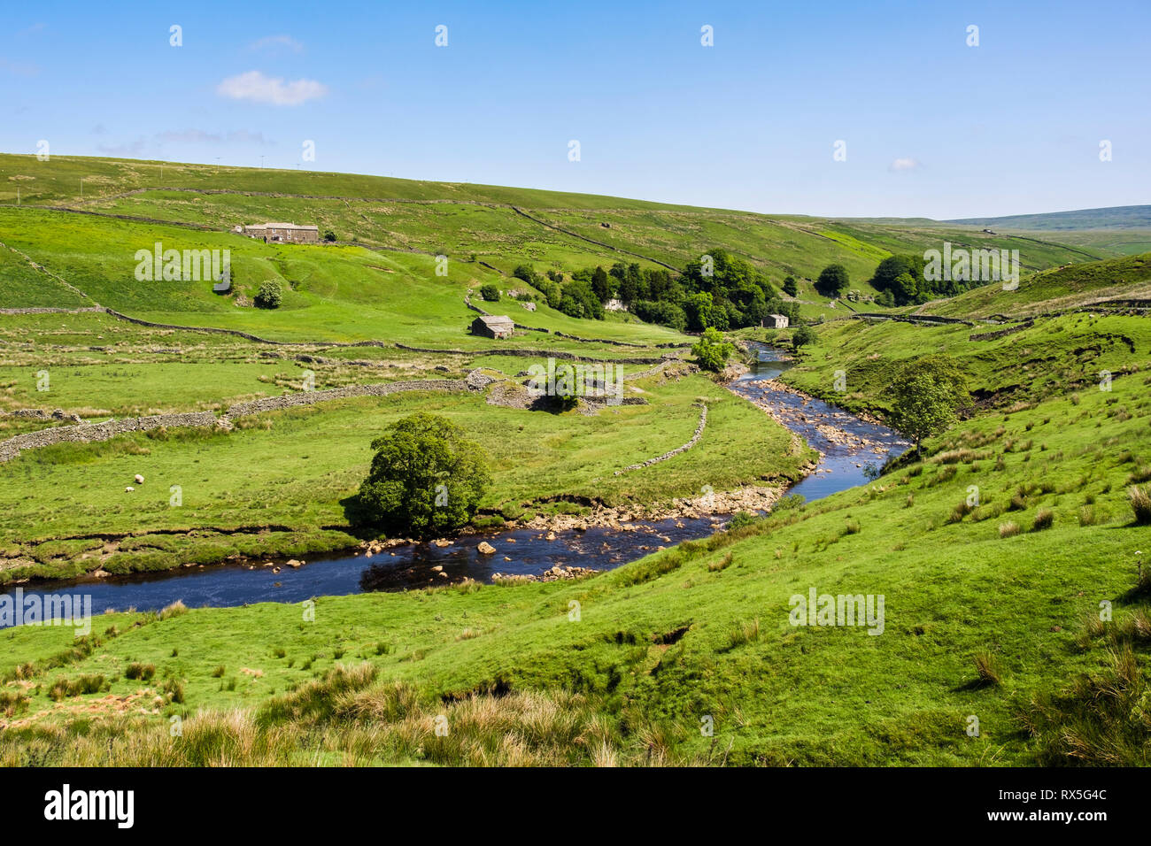 Paesaggio di campagna inglese con fattoria e granai sul fiume Swale in Upper Swaledale, Yorkshire Dales National Park, North Yorkshire, Inghilterra, Regno Unito, Gran Bretagna Foto Stock