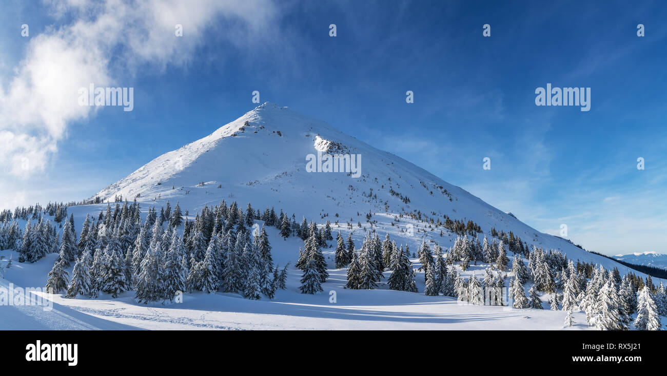 Incantevole paesaggio invernale delle montagne dei Carpazi. Petros picco coperto di neve. Foto Stock