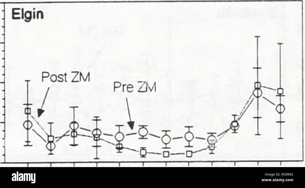 Effetti delle zebra mussels sugli effetti delle zebra mussels su clorofilla, azoto, fosforo e silice in North Shore acque del lago Erie effectsofzebramu00ontauoft Anno: 1997 15 _^^ s^ 10 Ol 6 o. o 0 f o -5 0,2 015 a. n &;, 0,1 0. &Lt;9 O OOS 0 Elgin : PreZM â j/H ^ ,â0-âSâÂ°âD ;l| k-icd PostZM 1 2 3 4 5 6 7 8 9 10 11 12 Mese 0.1 1 2 3 4 5 6 7 8 9 10 11 12 Mese 1 0,08 - a&GT; S. 0,06 - e io 0,04 o mi 0.02 - &lt; Elgin PreZM / i_i-5-D-S Post ZM^^ ^~- 1 2 3 4 5 6 7 8 9 10 11 12 Mese Foto Stock