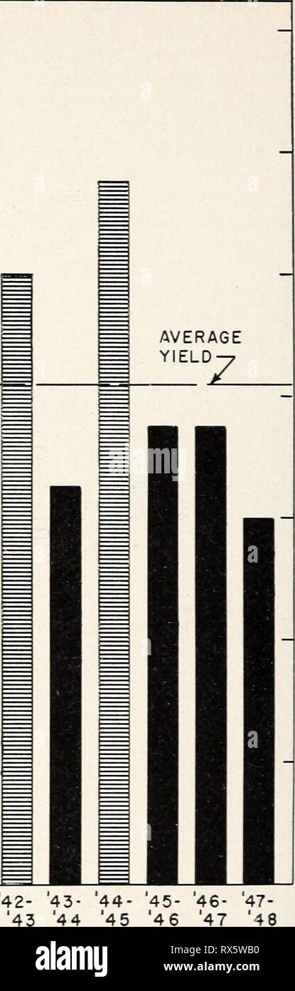 Uso efficiente delle piante annuali uso efficiente delle piante annuali sulle gamme di bestiame in California pedemontana efficientuseofan870piegate Anno: 1951 26 870 circolare, U. S. Dipartimento di Agricoltura 2.800 2.400 2.000 1.600 1.200 ? 800 400 il totale di precipitazioni durante la stagione | 12"- 16' jj 16'- 20' g3 sopra 20' I Y Yi Yi Yi OP YYt YYt YYt YYt YYt YA YYt YA 1935- '36 '36 '37- '38 38 39- 39 '40 IMPIANTO 40- '41 41- '42- 43- 44- '43 '44 '45 stagione crescente figura 13.-produzione totale stimata di aria-dn^ herbage per grazable acro, e precipitazione totale impianto durante la stagione di crescita (settembre di uno ye Foto Stock