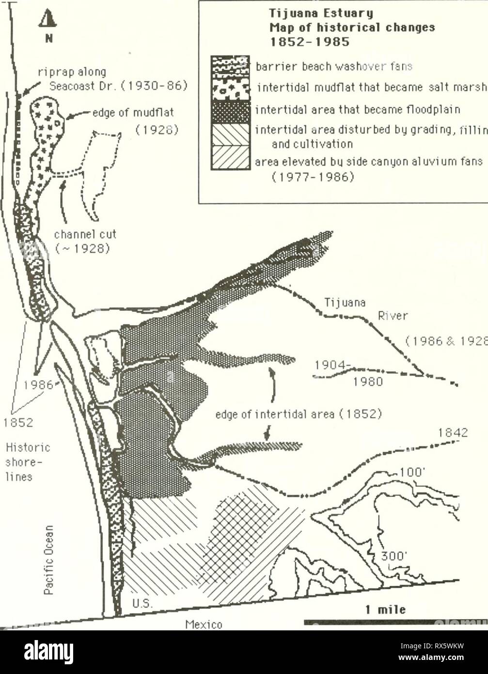 L'ecologia di Tijuana estuario, l'ecologia di Tijuana estuario, California : un cittadino di estuario riserva di ricerca ecologyoftijuana00zedl Anno: 1992 Tijuana estuario Mappa di cambiamenti storici barriera 1852-1985 beach washover fans rj *lj intertidal mudflat che divenne la Palude Salata zona intercotidale che divenne floodplain zona intercotidale disturbato dalla cernita, riempimento, e area di coltivazione elevata bu canyon laterale al uvi um ventole (1977-1986) River . (1986&; 1928) 1 9Â°4^â-  Jv 'â'' 1980 * 'â * 1842 Figura 2.14. Cambiamenti storici che hanno ridotto il prisma di marea di Tijuana estuario. Modificato da Wi Foto Stock