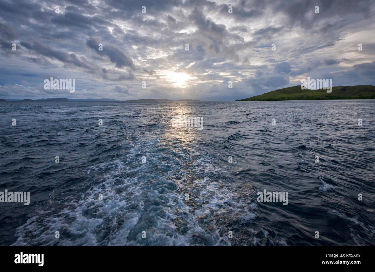 Parco Nazionale di Komodo si trova tra le Isole di Sumbawa e Flores in Nusa Tenggara Est provincia ed è la casa di 2.500 draghi di Komodo. Foto Stock