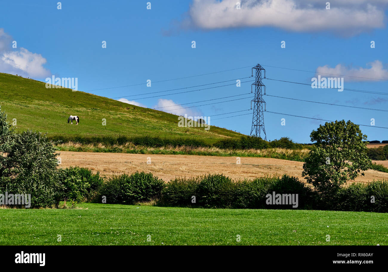 Nella foto sono linee elettriche attraverso un campo a Penshaw, nel nord-est dell'Inghilterra. Foto Stock