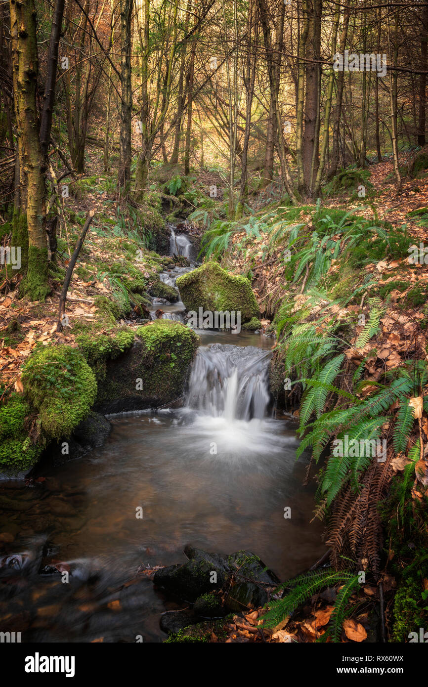 Una piccola cascata precipita verso il basso attraverso la foresta su una giornata di inverni. Foto Stock