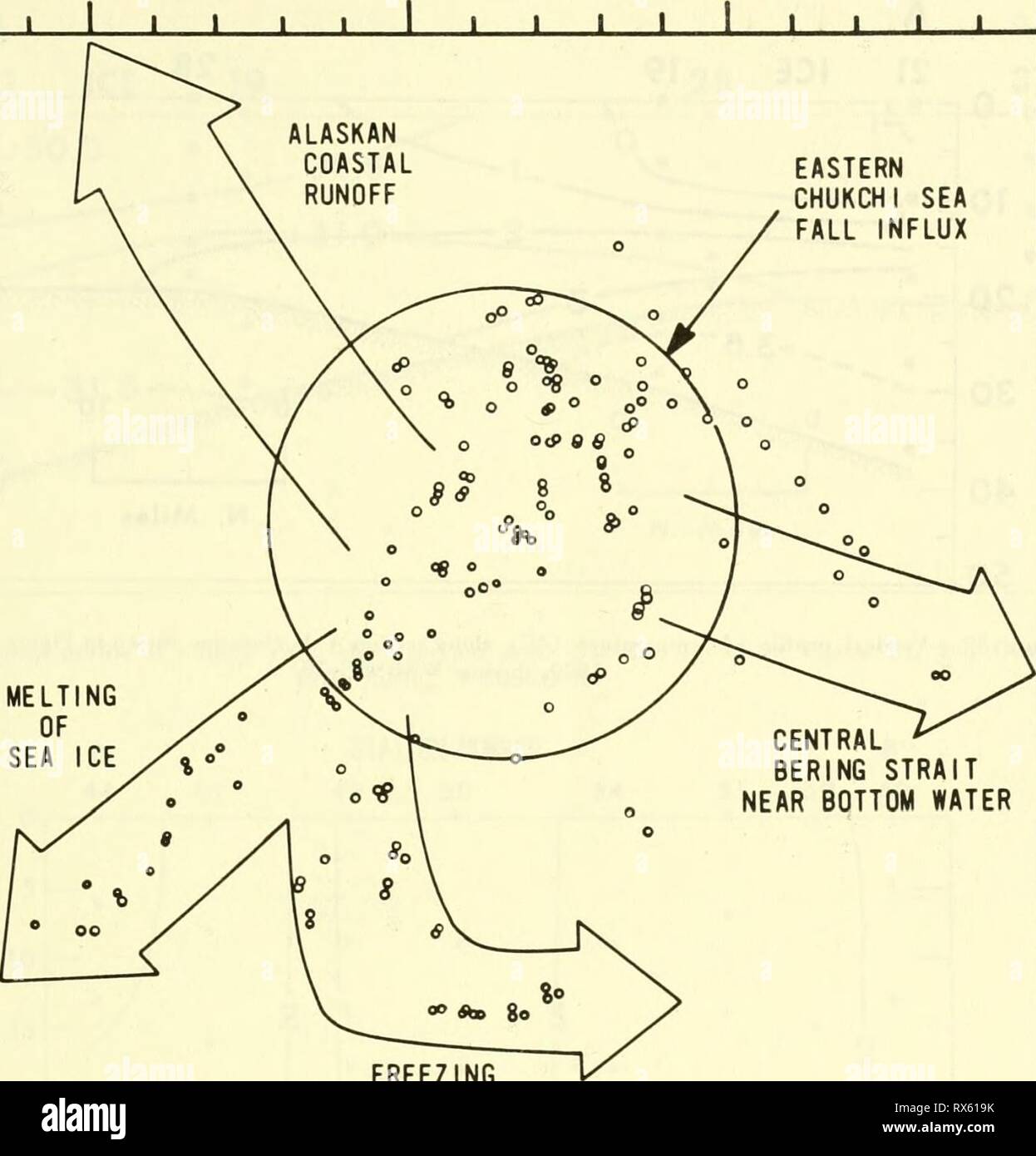 Un sondaggio ecologico in un sondaggio ecologico nella zona orientale del Mare Chukchi : settembre-ottobre 1970 ecologicalsurvey00Unità Anno: 1972 T E M P E R A T U R E 5 - 4 - 3 - 2 - 1 - 0 - 2 - J I I L EST MARE CHUKCHI caduta afflusso dello stretto di Bering vicino a fondo il congelamento di acqua -| T 30 1-'-'-'- 31 SALINITYo 'T' 32 Io ho 33 di figura 36.-temperatura osservata ('C)-saIinity (o) valori durante la WEBSEC-70, Settembre-Ottobre 1970 e processi o masse d'acqua che influenzano le proprietà dell'est mare Chukchi caduta afflusso, 47 Foto Stock