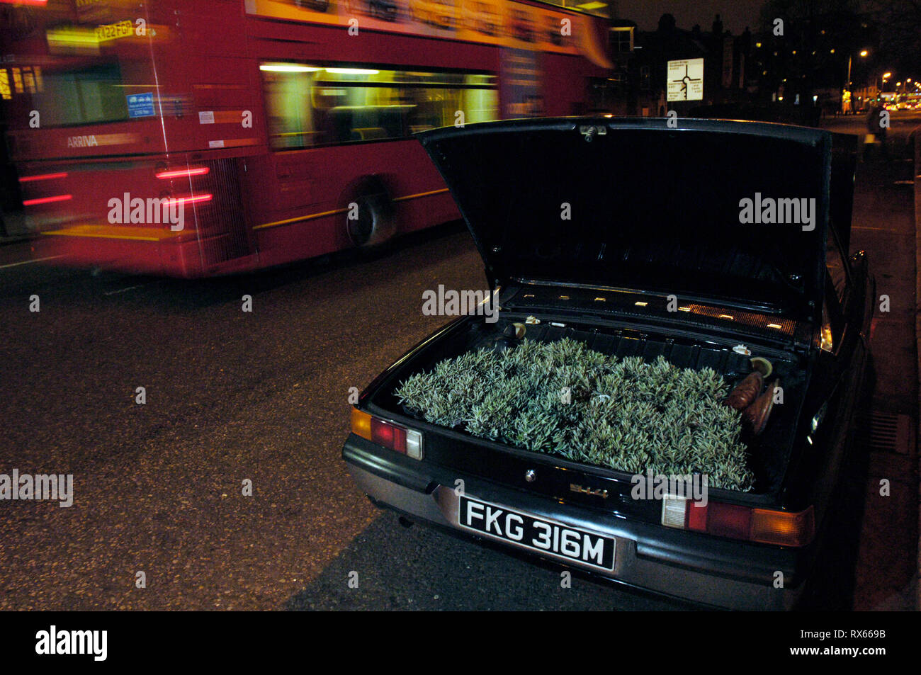 Il boot di Richard Reynolds classic Porsche è riempito con piante... Il Guerrilla Gardening organizzazione in azione southwark London SE1 Foto Stock