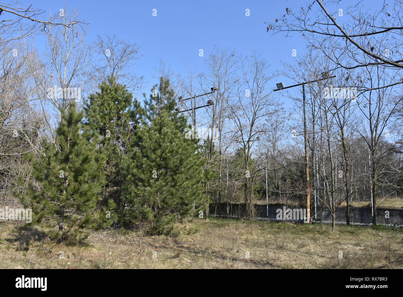 Hotel, Obelisco, Tennisplatz, Trieste, Flutlicht, verwachsen, aufgelassen, vergessen, Italien, perso il posto, urbano esplorando, vegetazione, Baum, Bäume, Za Foto Stock