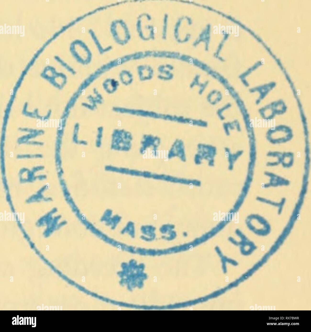 L'ecologia e la vita la storia di ecologia e la vita la storia della rana comune (Rana temporaria temporaria) ecologylifehisto00sava Anno: 1962 cibo, di ibernazione e di migrazione II9 Cummins, H. (1920)/. Exp. Zool, 30, 325-43. CzELOTH, H. (1930) Z. ver^l. Physiol., 13, 74-163. DoLK, H. F. e Postma, N. (1927) Z. verj^l. Physiol., 5, 417-44. Fatio, V. (1872) Fantie dcs Vcrtehris dc la Suisse (George, Ginevra). GiBLETT, M. A. (1932) Memoir geofisica, 54 (Meteorological Office, Londra). Hecht, G. (1930) S.B. Ges. naturf. Fr. Bcri, 16 dicembre, 316. Heron-Royer (1885) - Boll. Soc. Etud. Sci. Angers, 92- Foto Stock