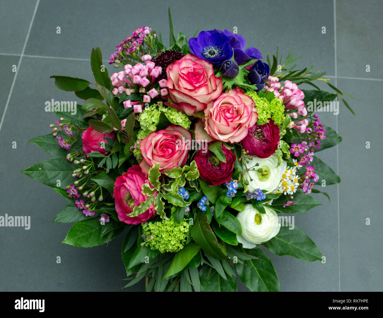 Natura, piante, fiori, mazzo di fiori, compleanno bouquet di rose, anemoni, wind-fiore, renoncules, Ranunculus, pallon di maggio, viburno rose Foto Stock