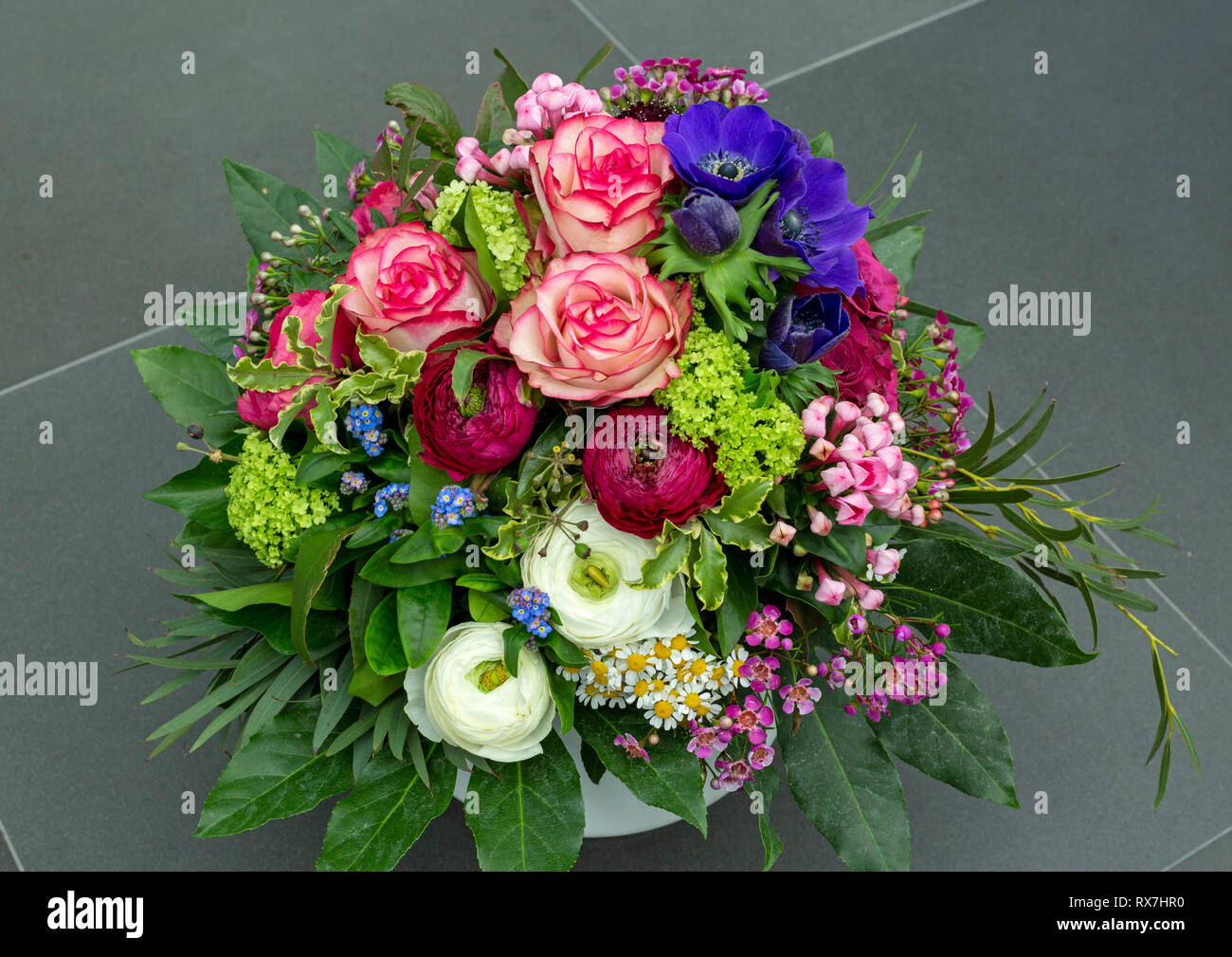 Natura, piante, fiori, mazzo di fiori, compleanno bouquet di rose, anemoni, wind-fiore, renoncules, Ranunculus, pallon di maggio, viburno rose Foto Stock