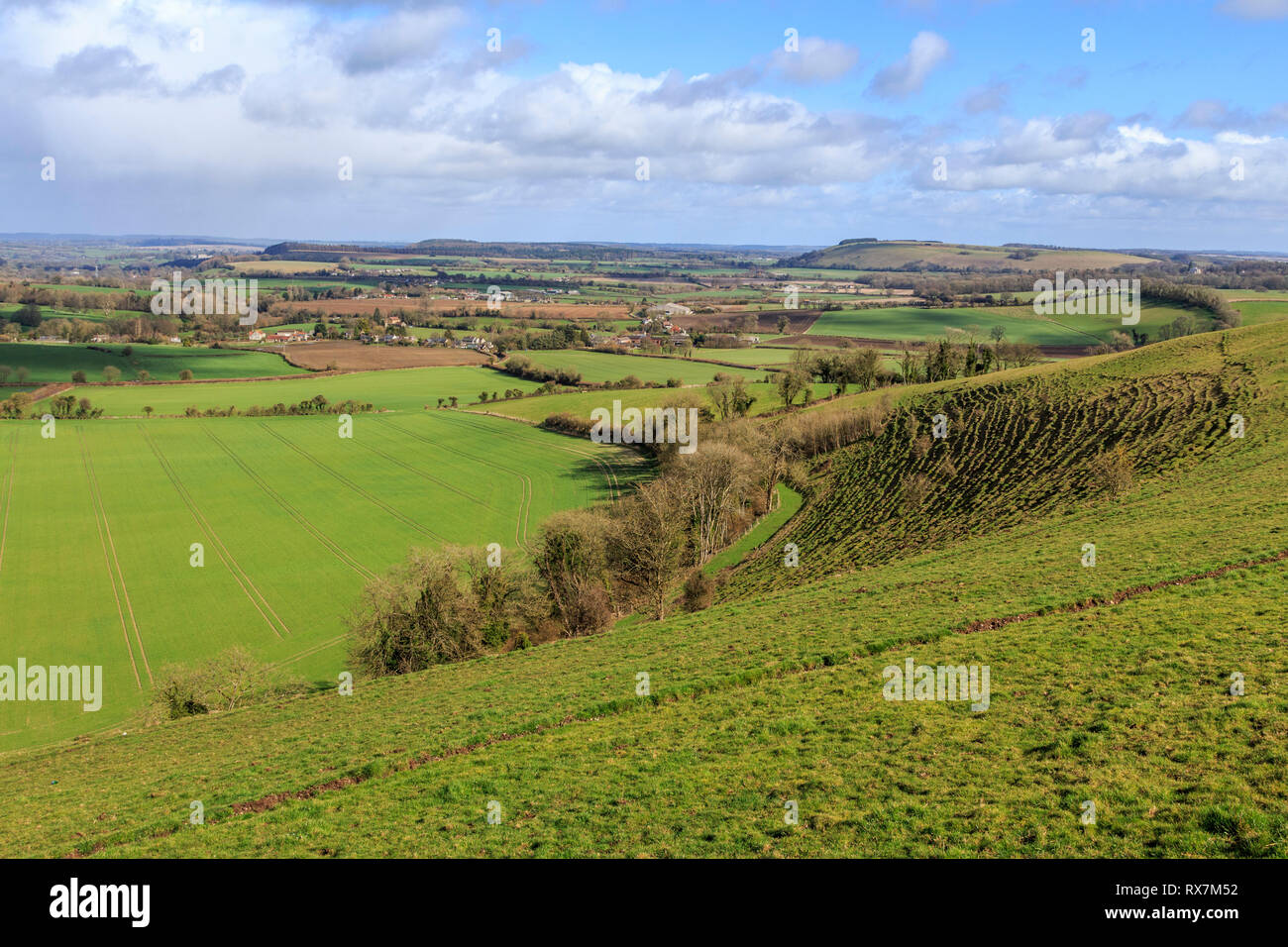 A cranborne chase aonb, dorset , in Inghilterra, Regno Unito, GB Foto Stock