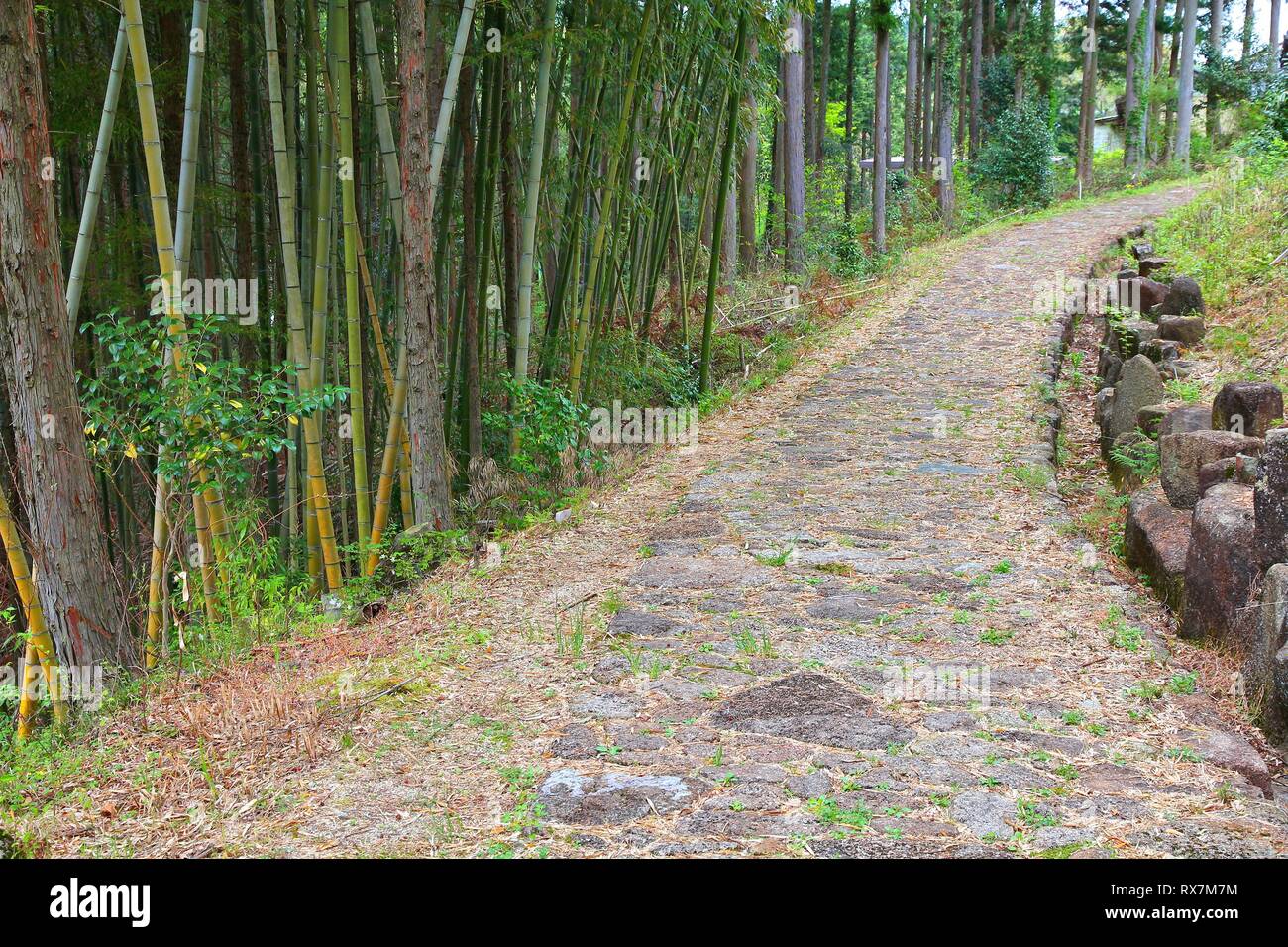 Giappone - famoso sentiero Nakasendo nei pressi di Magome. Il vecchio percorso centinaia di anni. Foto Stock