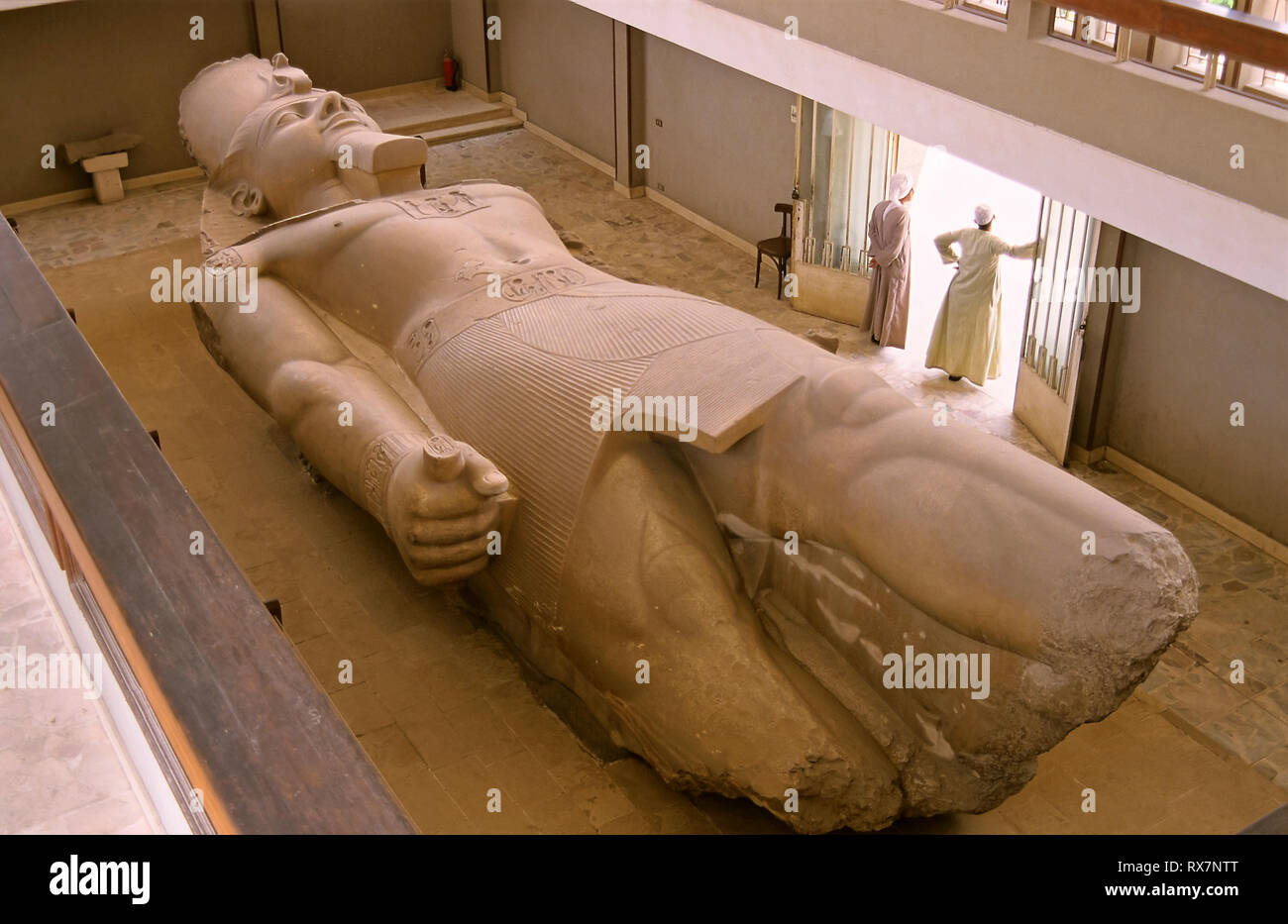 Statua colossale di Ramses II, giacente a terra. Rovine di Memphis. L'Egitto. Africa Foto Stock