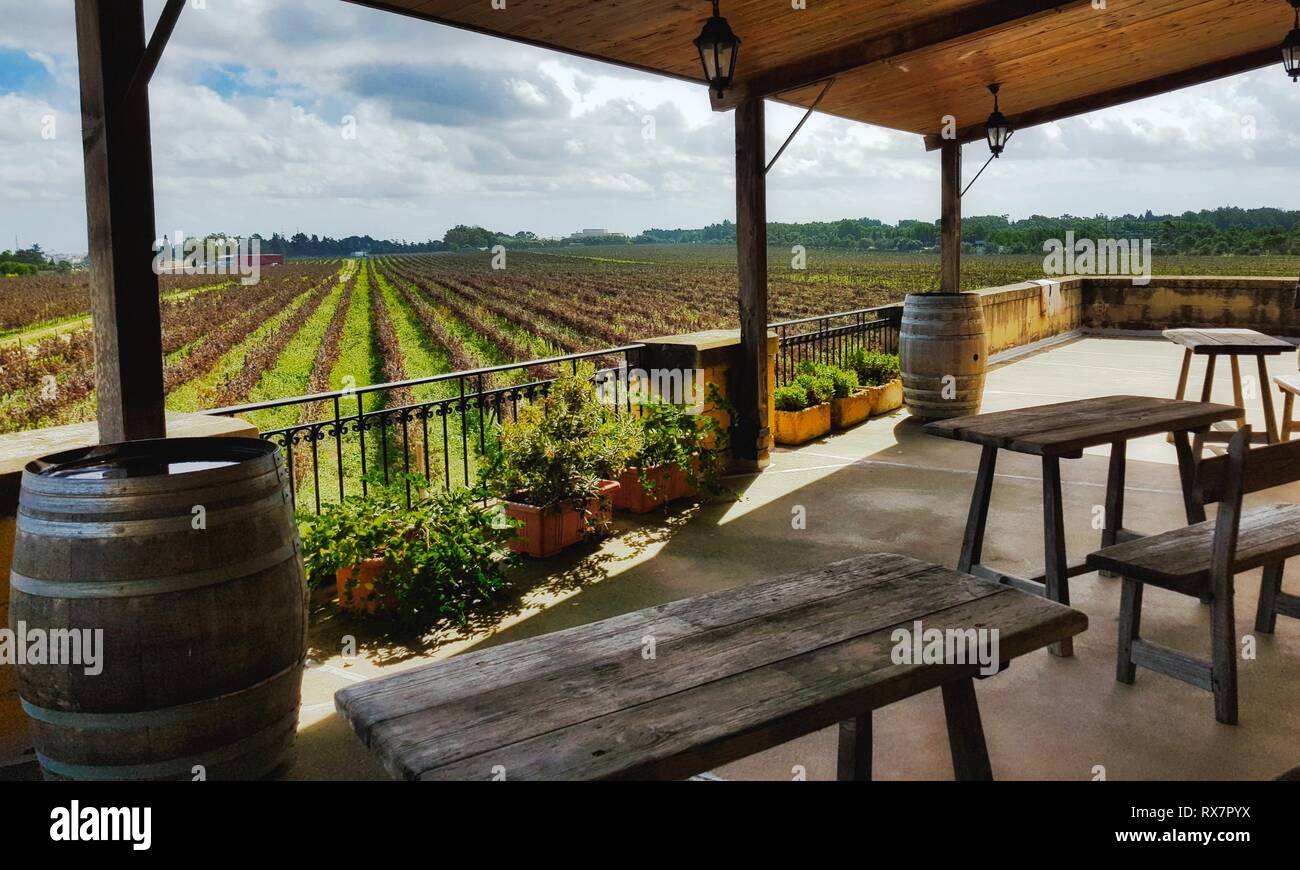 Una vista di filari di viti in un vigneto da una villa balcone con tavoli e  sedie di legno Foto stock - Alamy