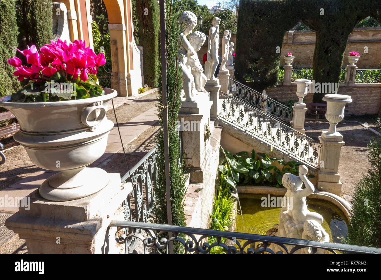 Valencia, Jardin de Monforte, Giardino di Monforte, Parco del Giardino cittadino di Spagna fiori di ciclamino in Pot Foto Stock