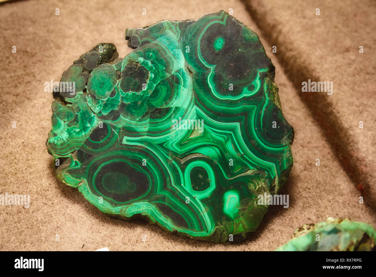 Close-up di lucido gemma malachite - verde con i motivi ondulati utilizzato in gioielleria Foto Stock