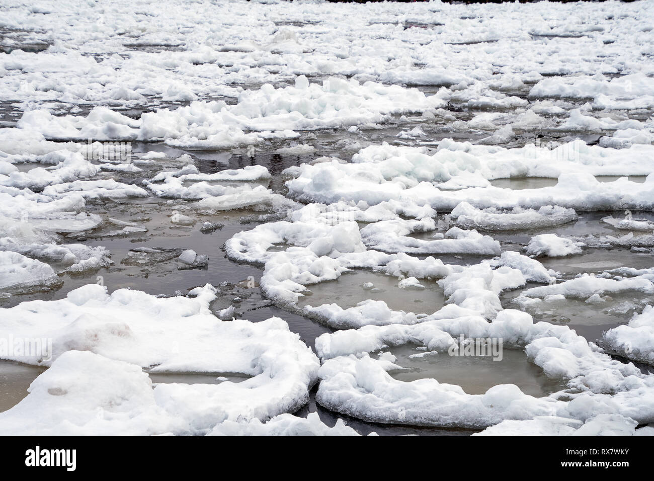 Pancake circolare la formazione del ghiaccio galleggiante sul Lago Michigan in inverno Foto Stock