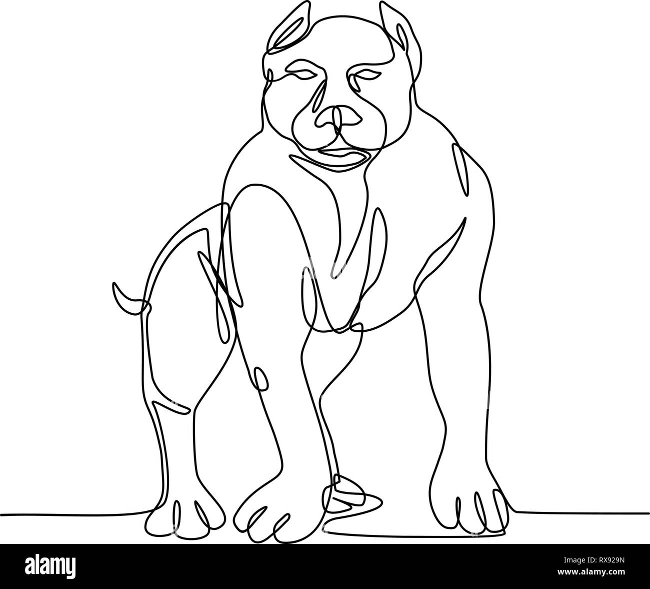 Linea continua illustrazione di un American Bully, pit bull, un tipo di cane discende da Bulldog e Terrier fatto in bianco e nero sty monolinea Illustrazione Vettoriale
