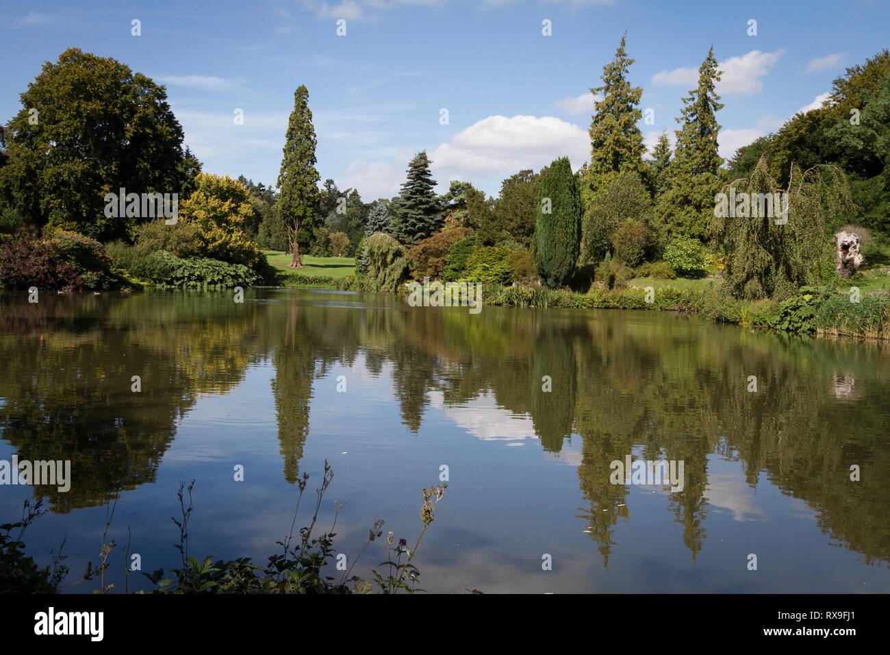 Sandringham House Gardens e 20.000 acri, casa privata di Sua Maestà la Regina Elisabetta II in Sandringham Norfolk .Inghilterra Foto Stock