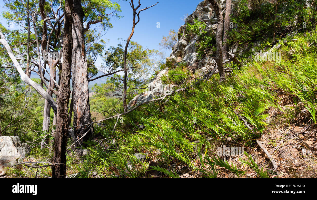 La campagna australiana Foto Stock