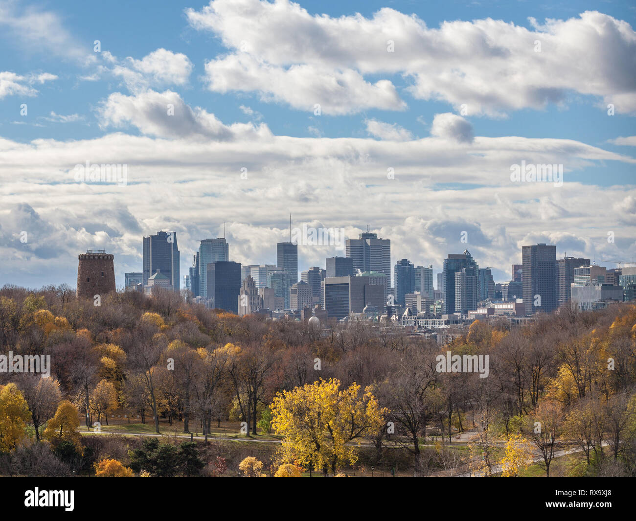 Lo skyline di Montreal, con gli edifici iconici del CBD di Montreal grattacieli aziendali visto da Jean Drapeau park e la sua foresta in autunno. Montreal è Foto Stock