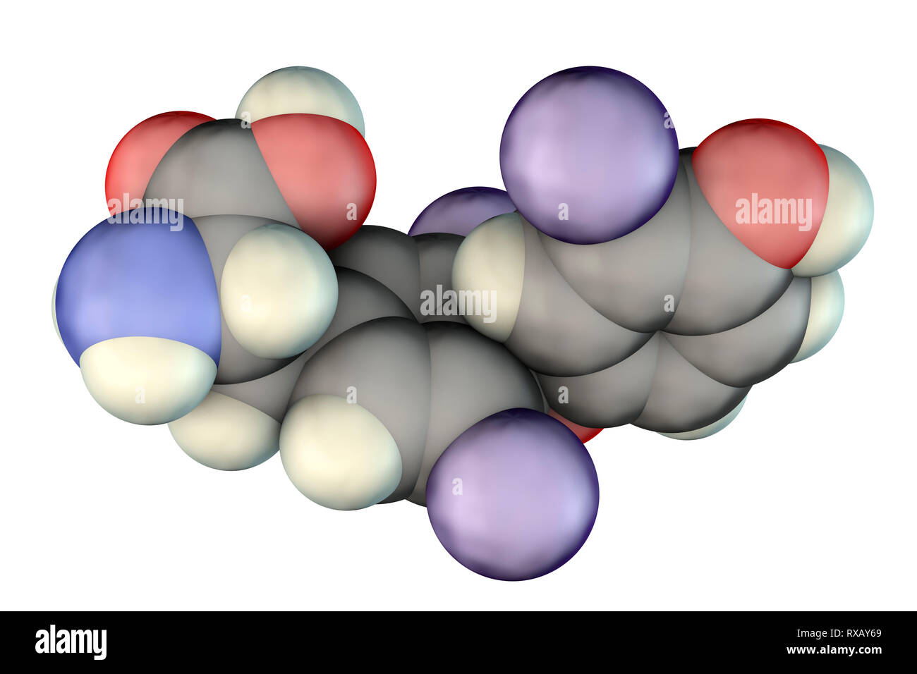 Triiodotironina ormone, modello molecolare Foto Stock