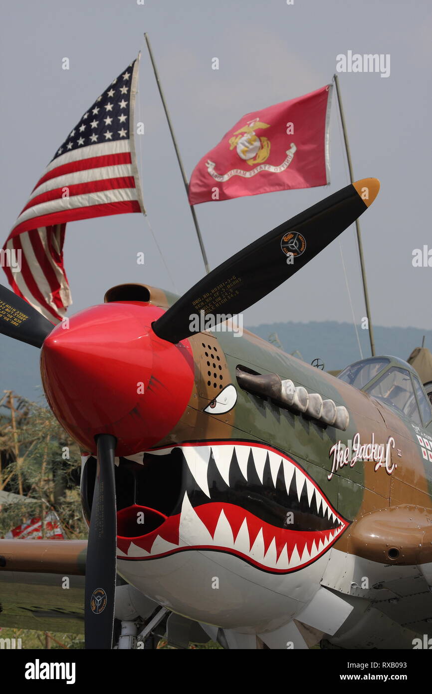 P-40 Warhawk il Jacky C. in mostra statica al Mid Atlantic Air Museum WWII Weekend in Pennsylvania di lettura Foto Stock