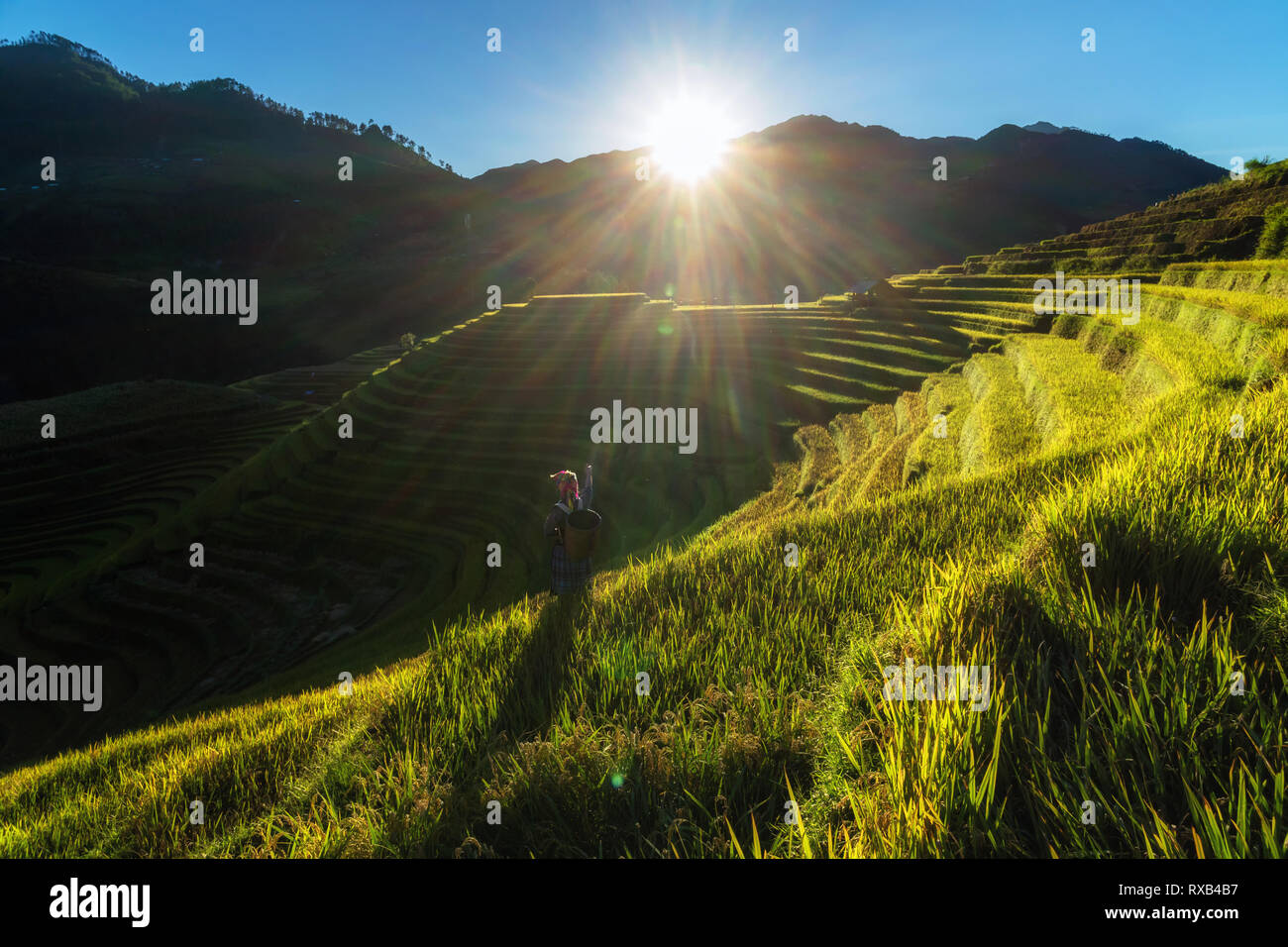 Undefined vietnamita bambini Hmong puntando il sogno del riso terrazza quando il tempo al tramonto con lens flare a mam xoi di um cang chai district,Yenbai Foto Stock