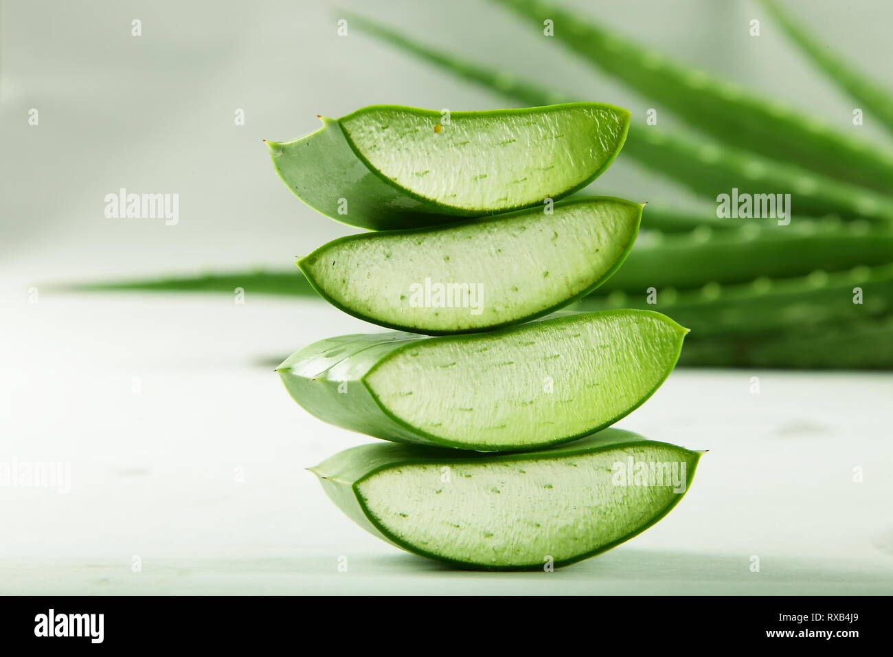 Organic aloe vera lascia le fette su sfondo bianco. Foto Stock