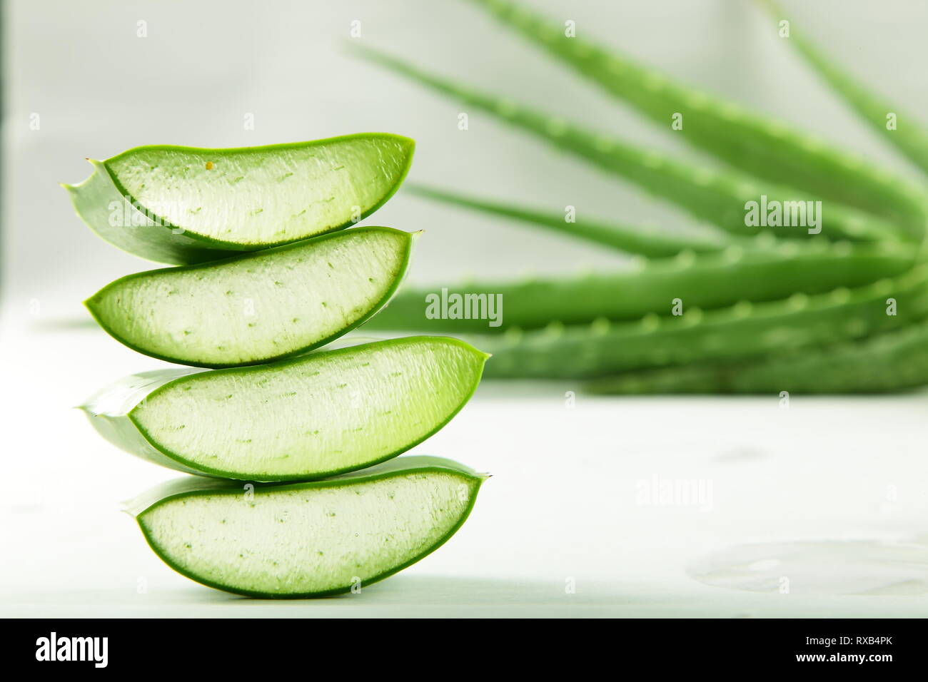 Organic aloe vera lascia le fette su sfondo bianco. Foto Stock