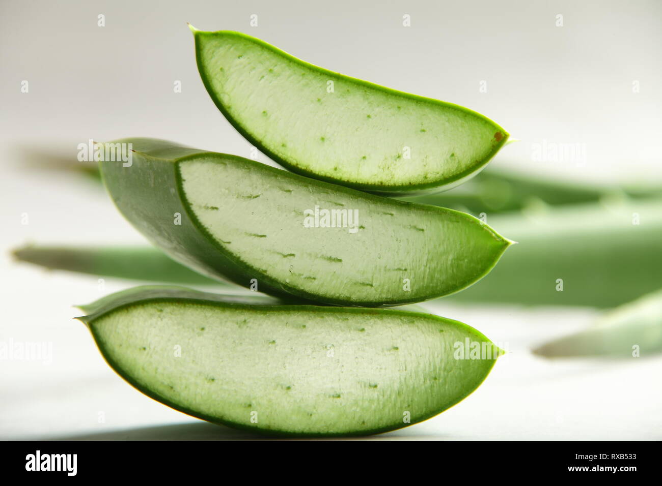 Organic aloe vera lascia le fette su sfondo bianco. Foto Stock